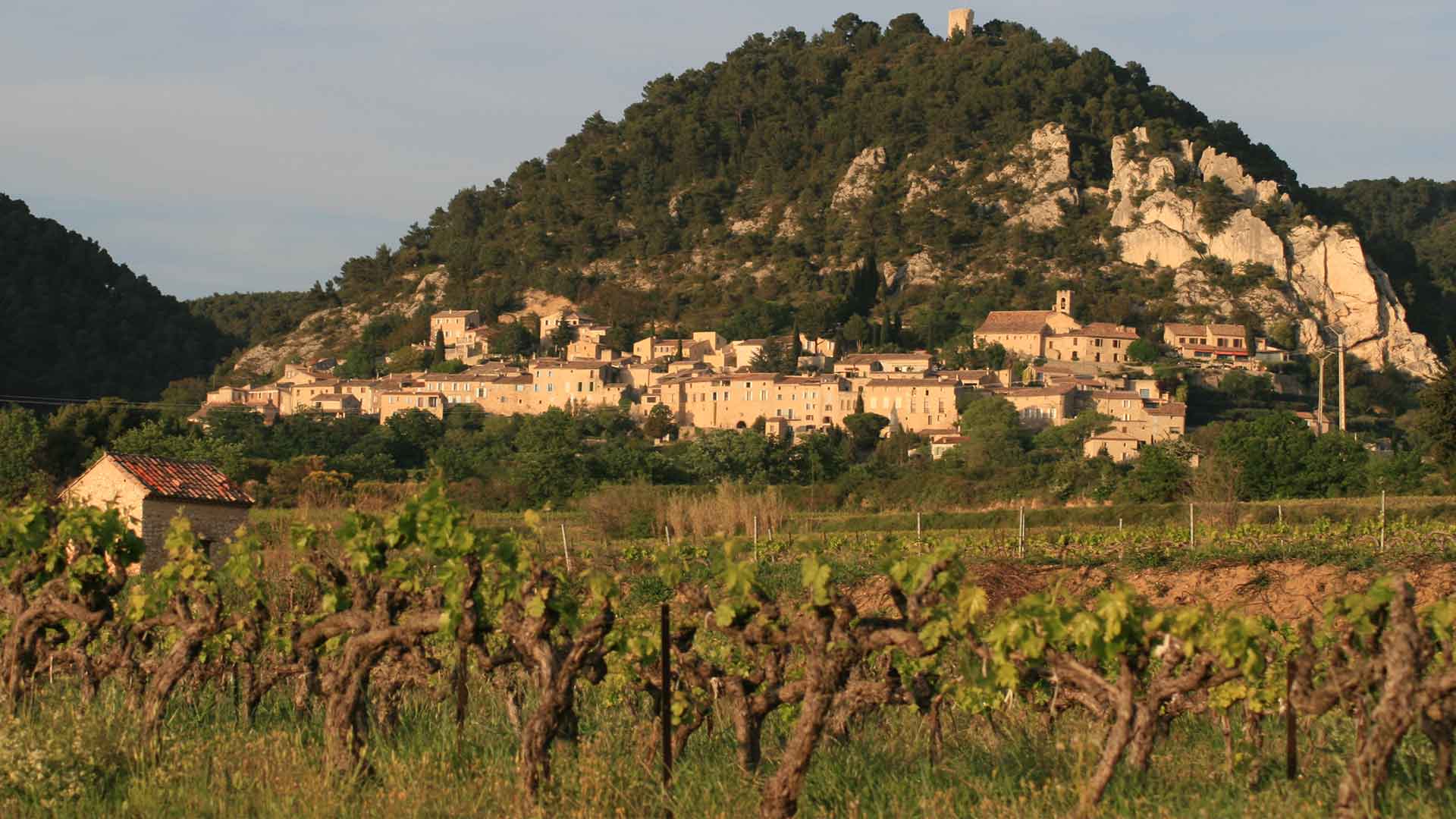 Wines of the Rhone