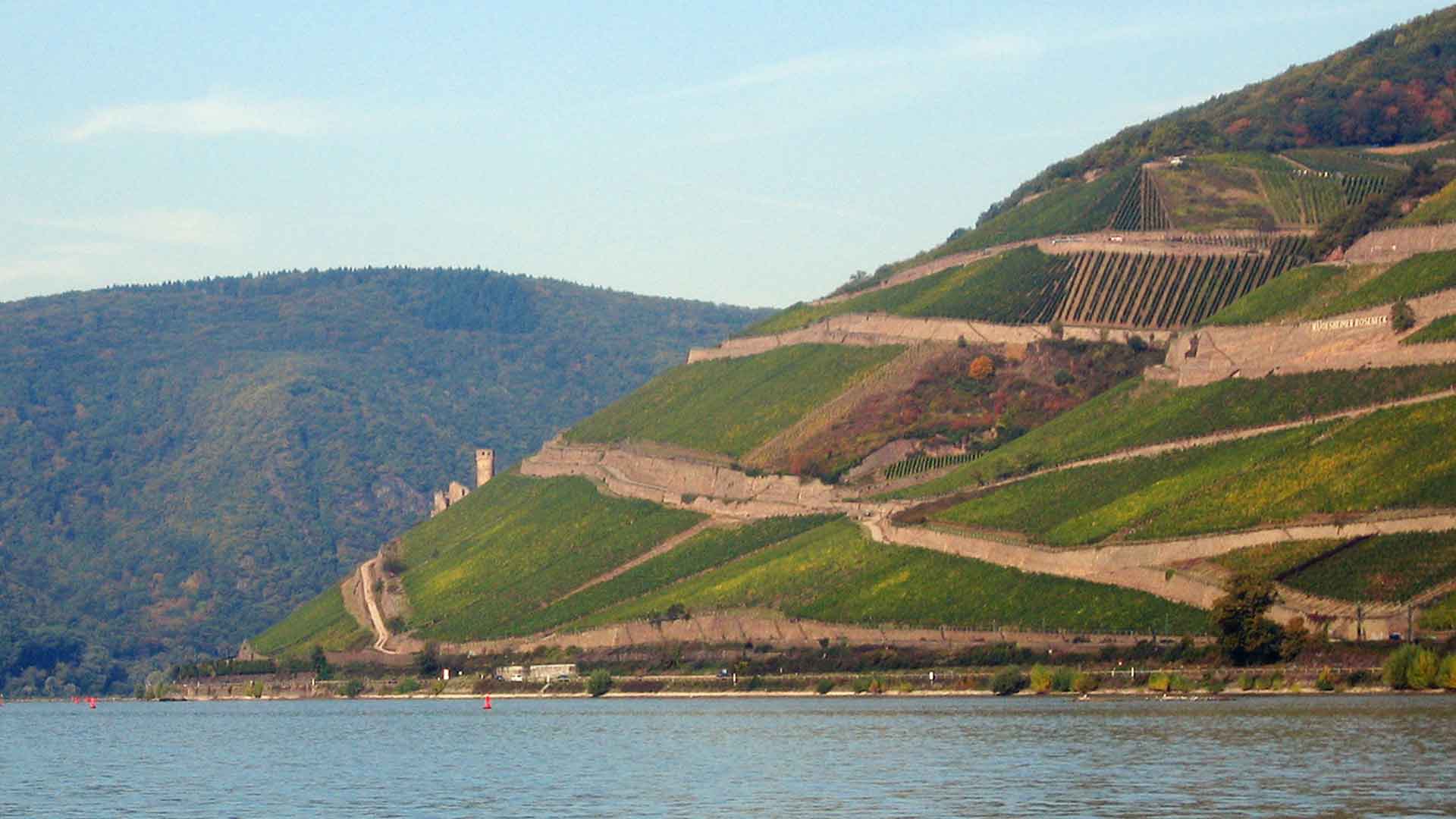 Wines of Germany
