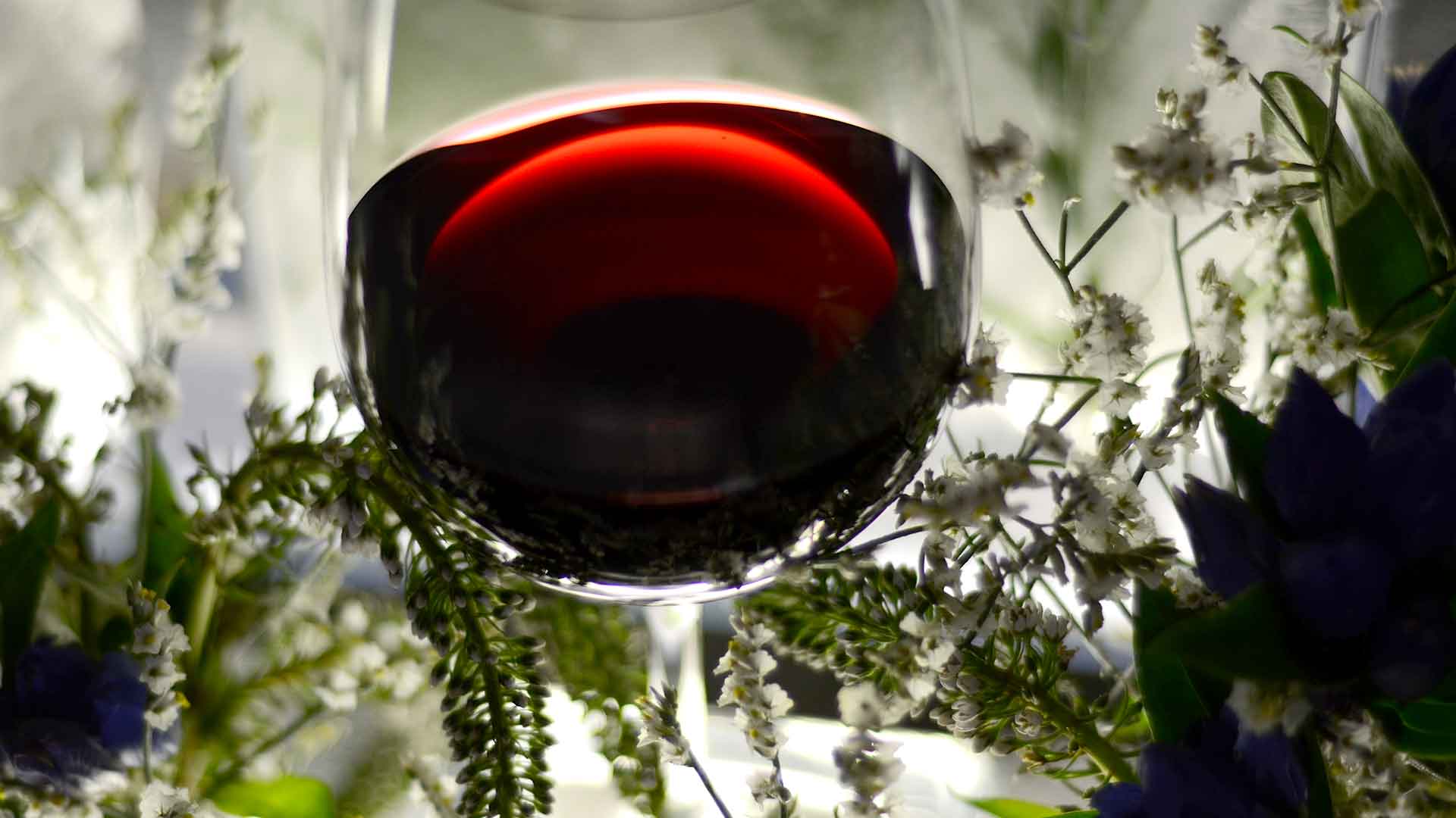 Chillable Red Wines