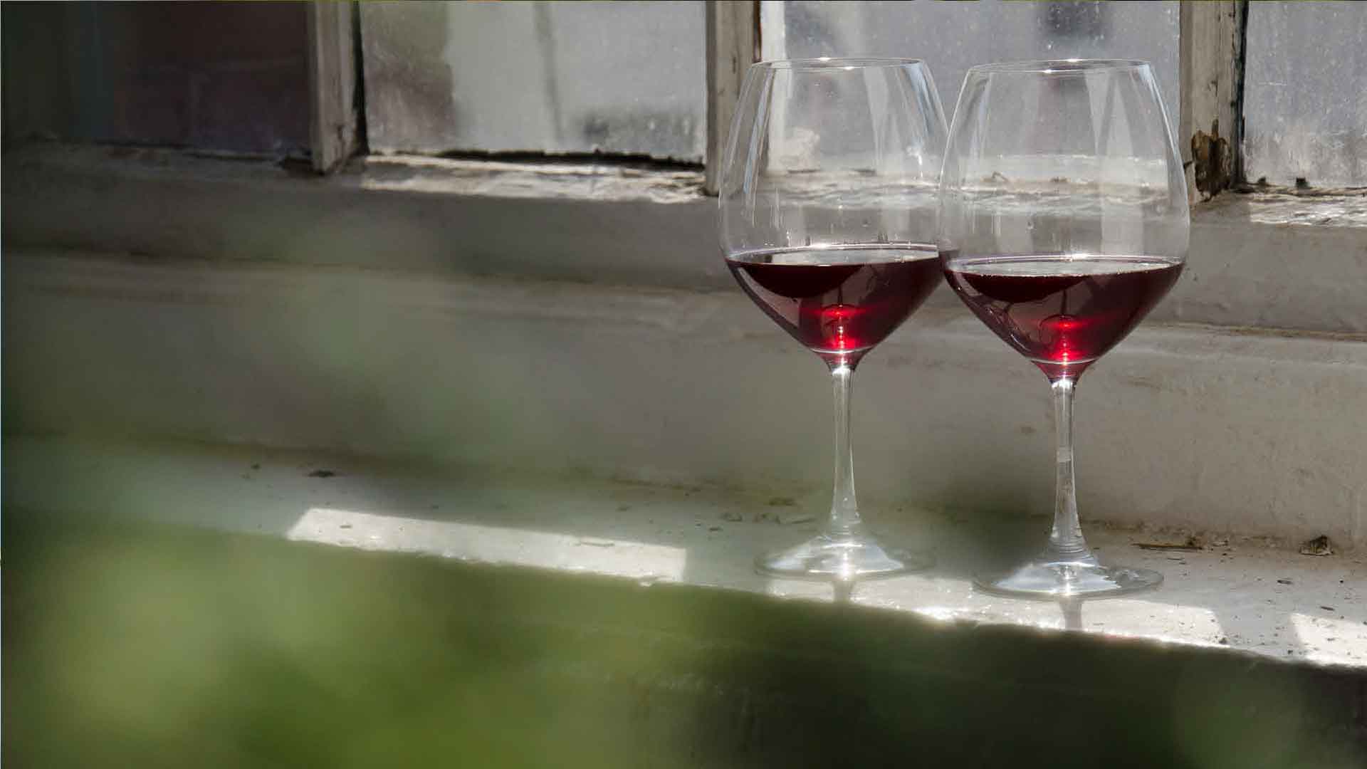 Pinot Noirs of the World
