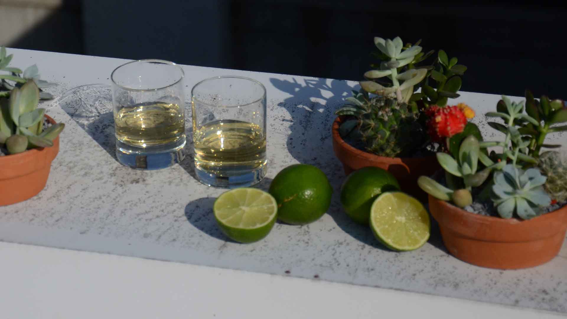 From Agave to Glass: Tequila & Mezcal Tasting
