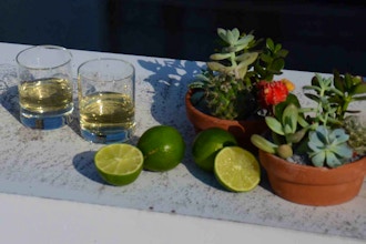 From Agave to Glass: Tequila & Mezcal Tasting