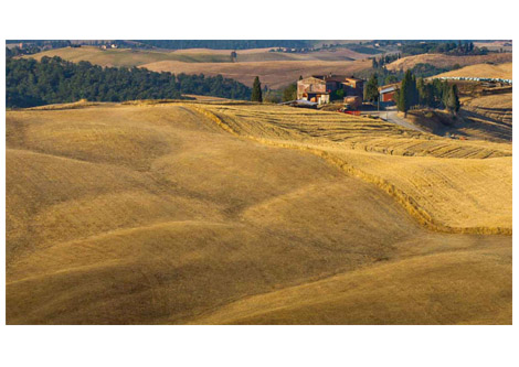 Wines of Tuscany: Wines from the Coast to Chianti
