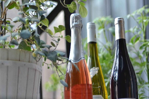 Discover Your Wine Style