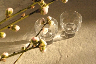 The Elements of Saké