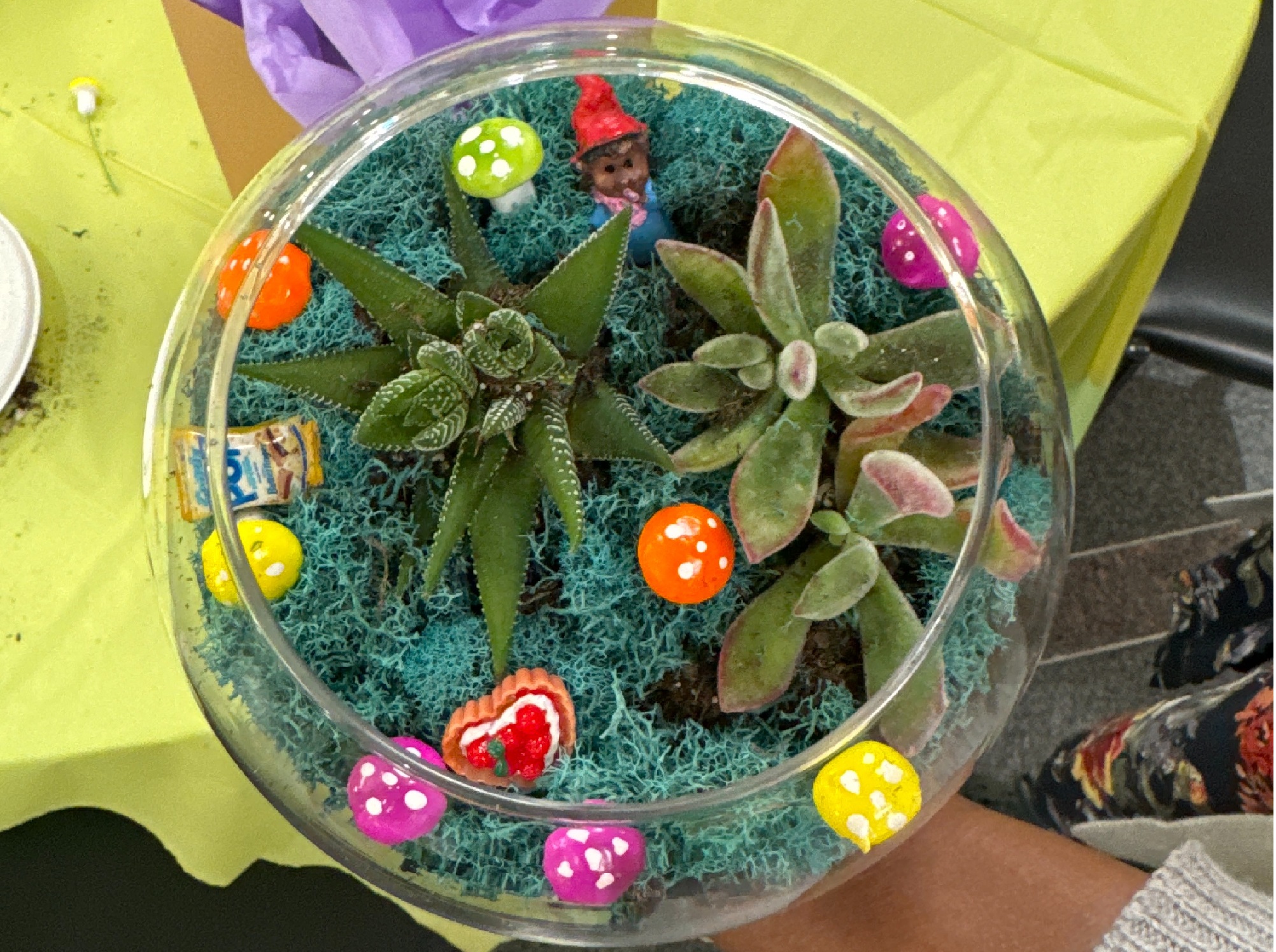 New Year's Mindful Plant Workshop
