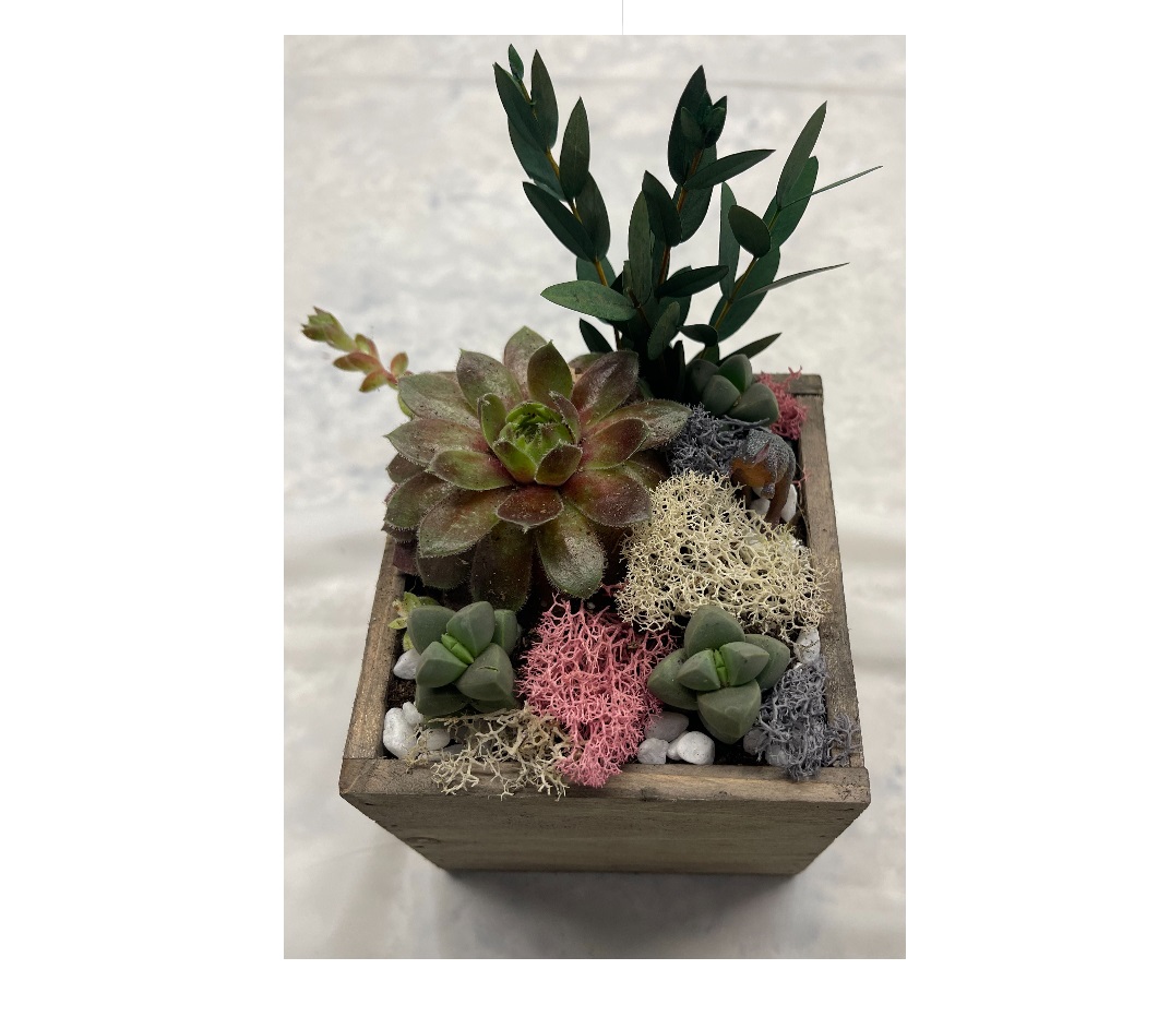 Succulent Treasure Box