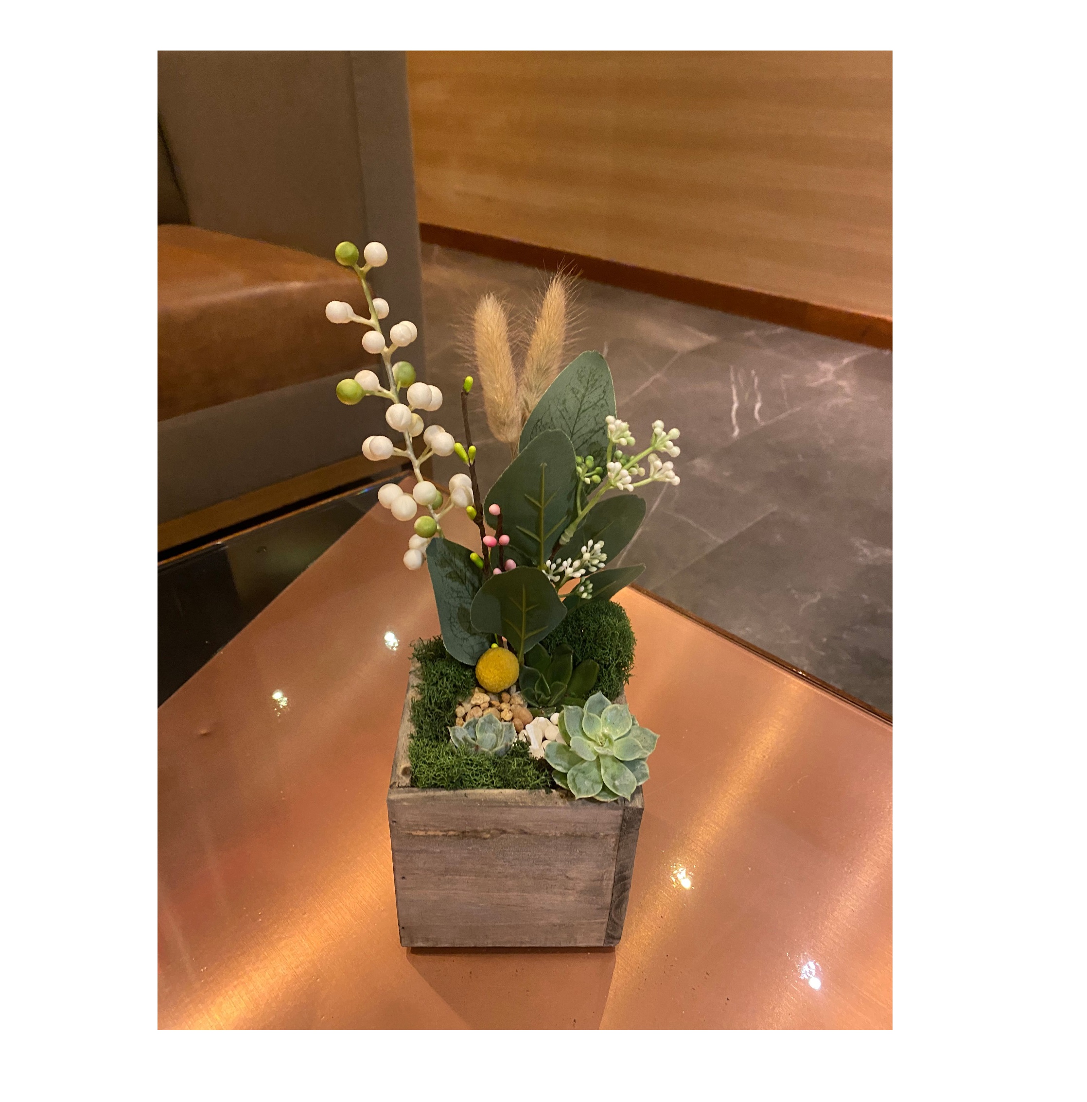 Succulent Treasure Box