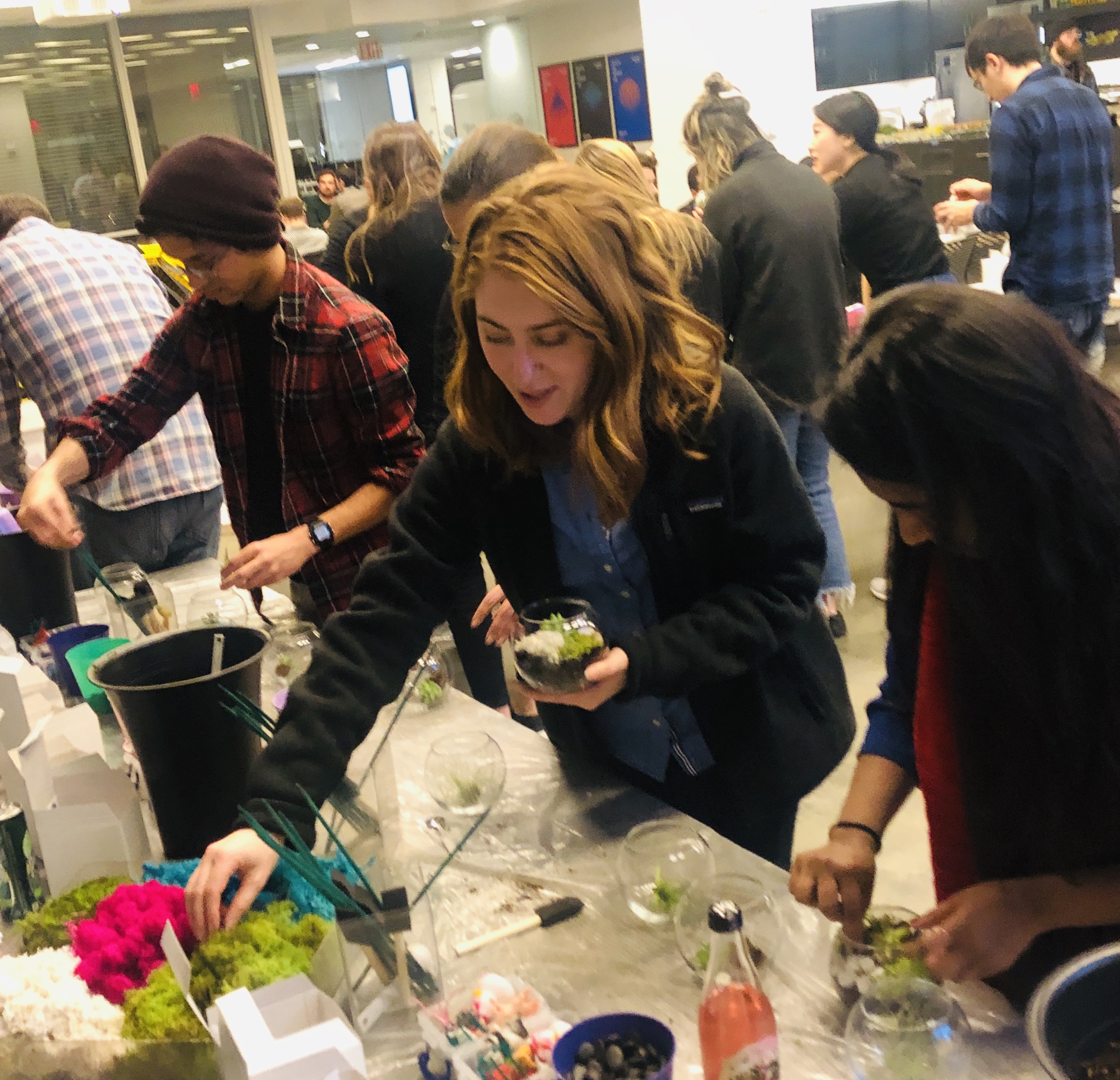 Terrarium or Moss Wall Workshop for Date Night