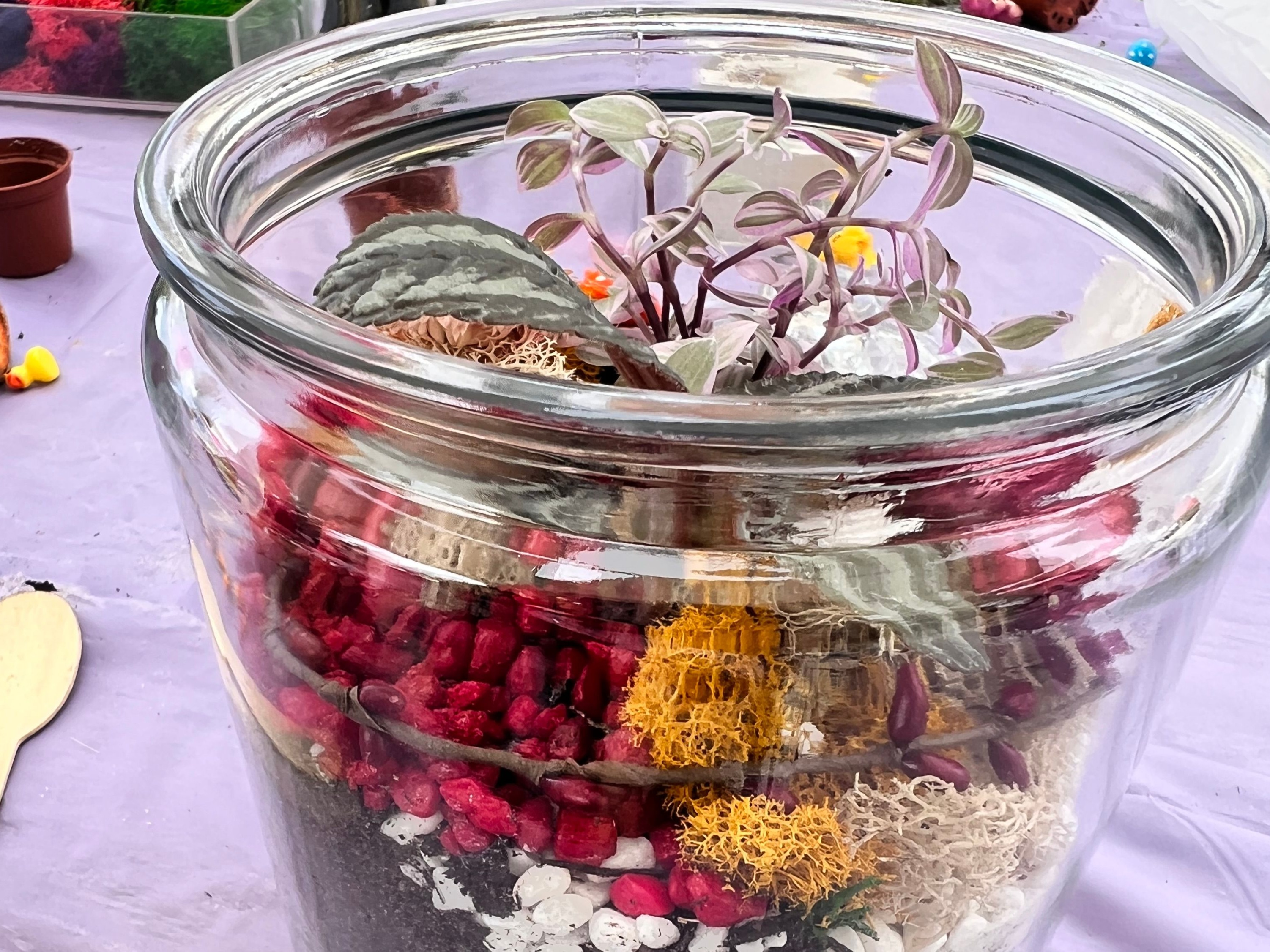 Closed Eco-System Terrarium