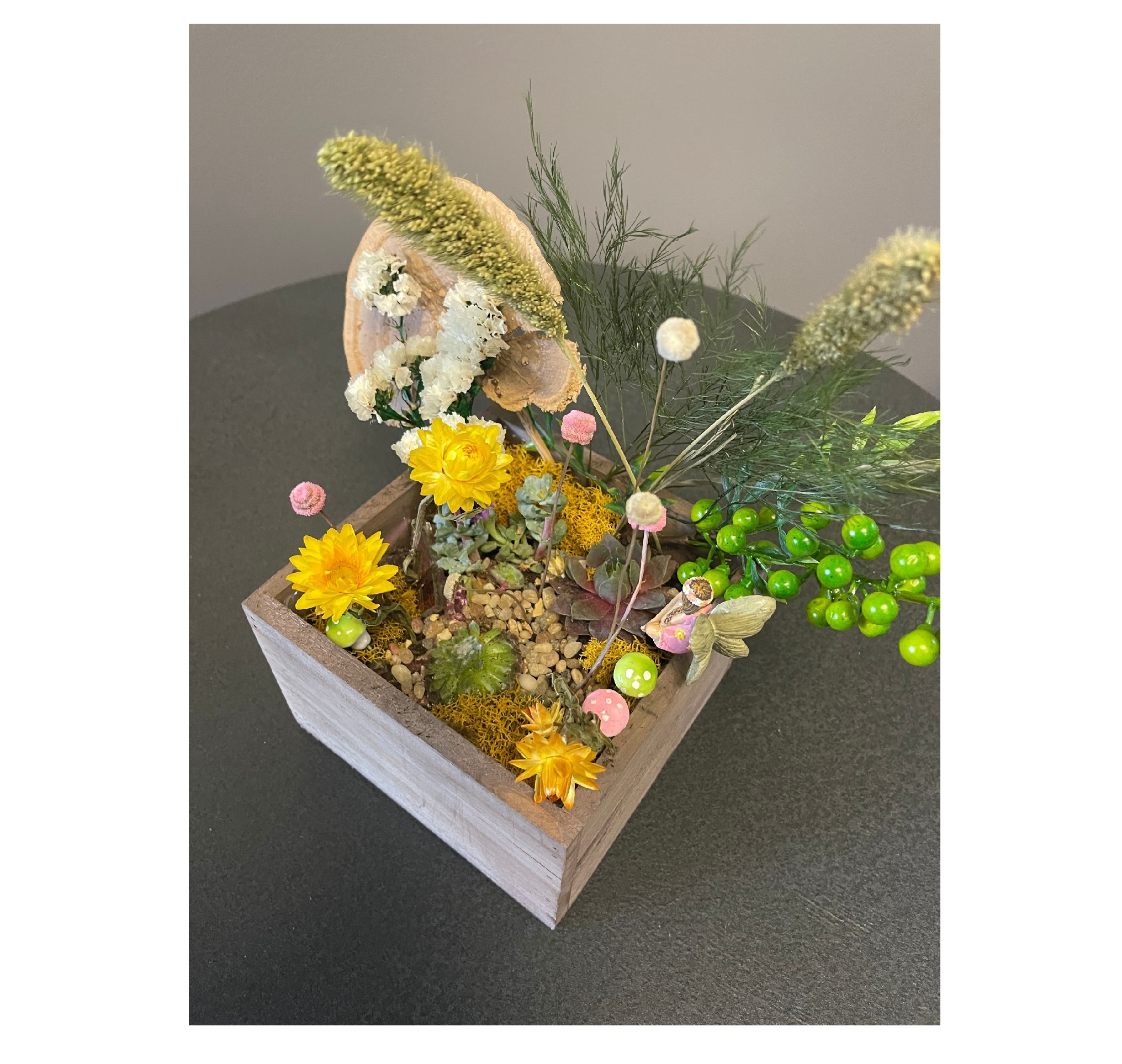Succulent Treasure Box
