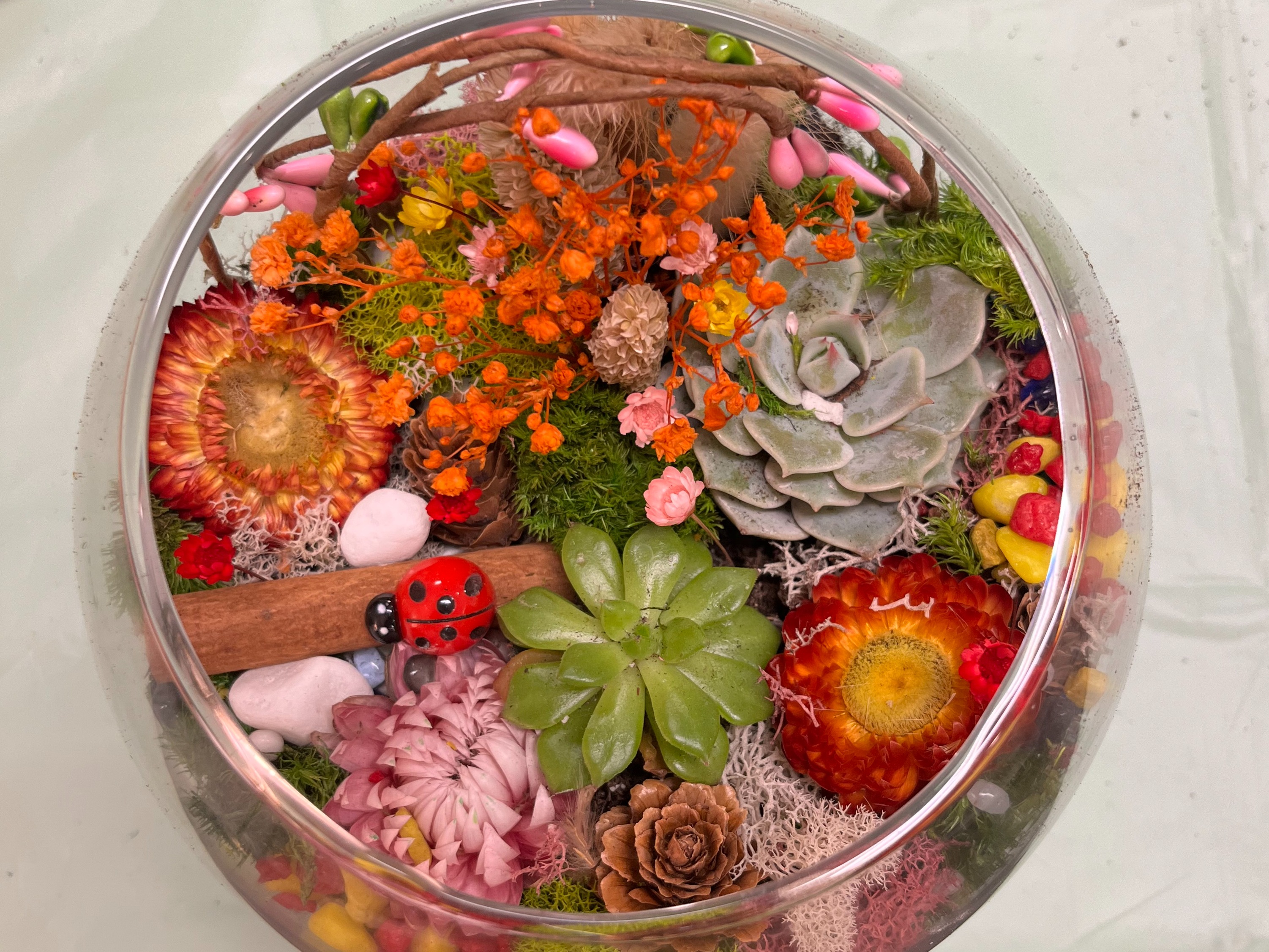 Open Glass Terrarium