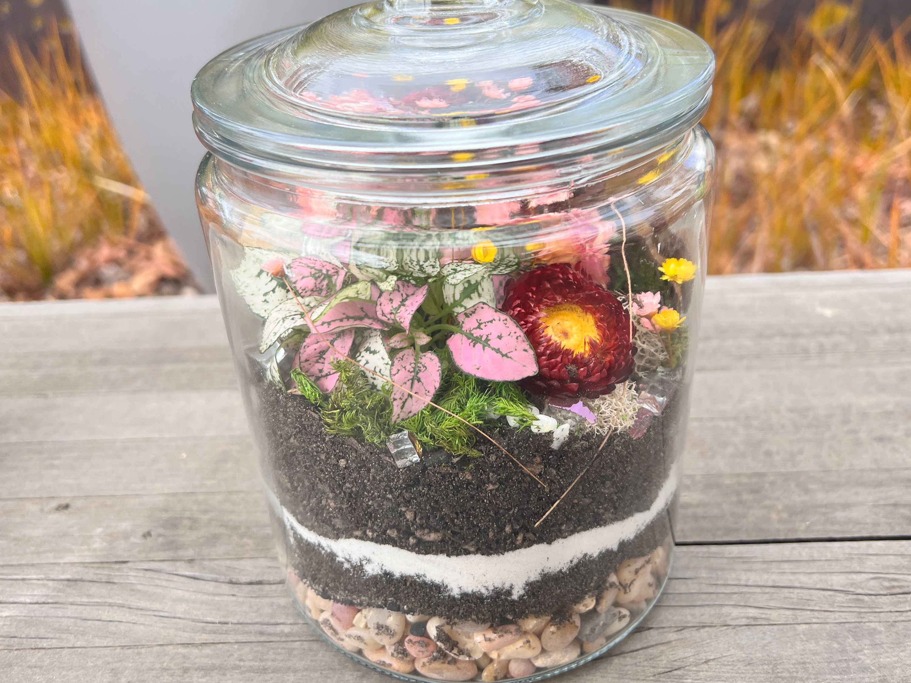 Closed Eco-System Terrarium