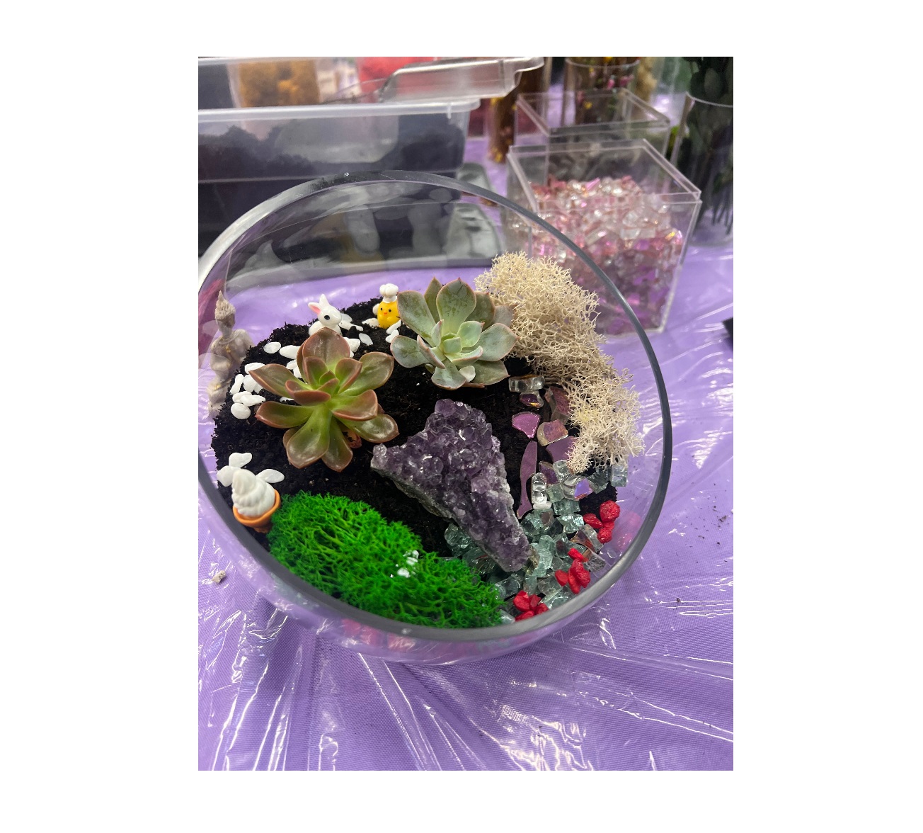 Zen Crystal and Terrarium Workshop