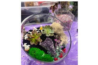 Zen Crystal and Terrarium Workshop