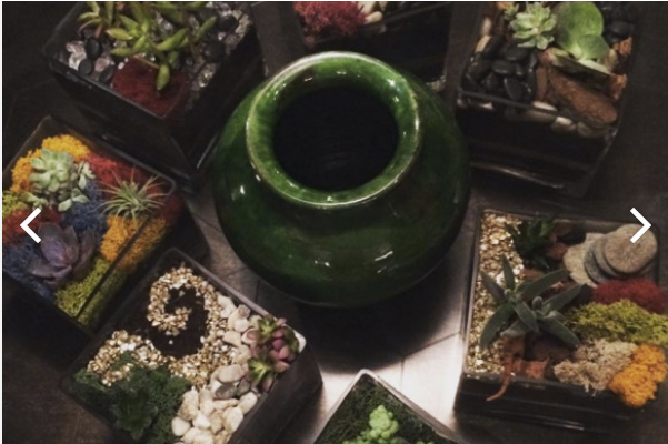 Terrarium: Zen Crystals