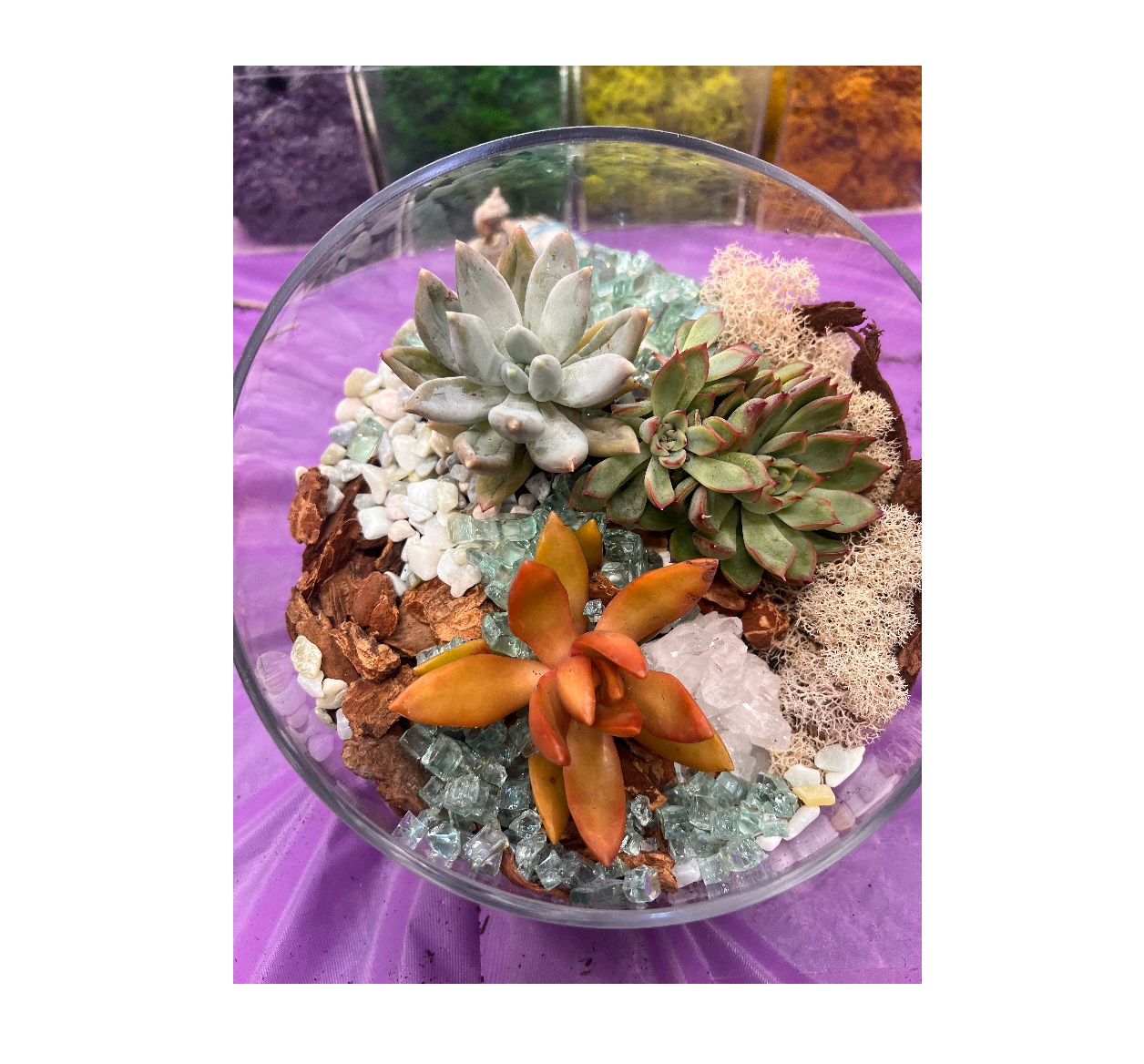 Zen Crystal and Terrarium Workshop