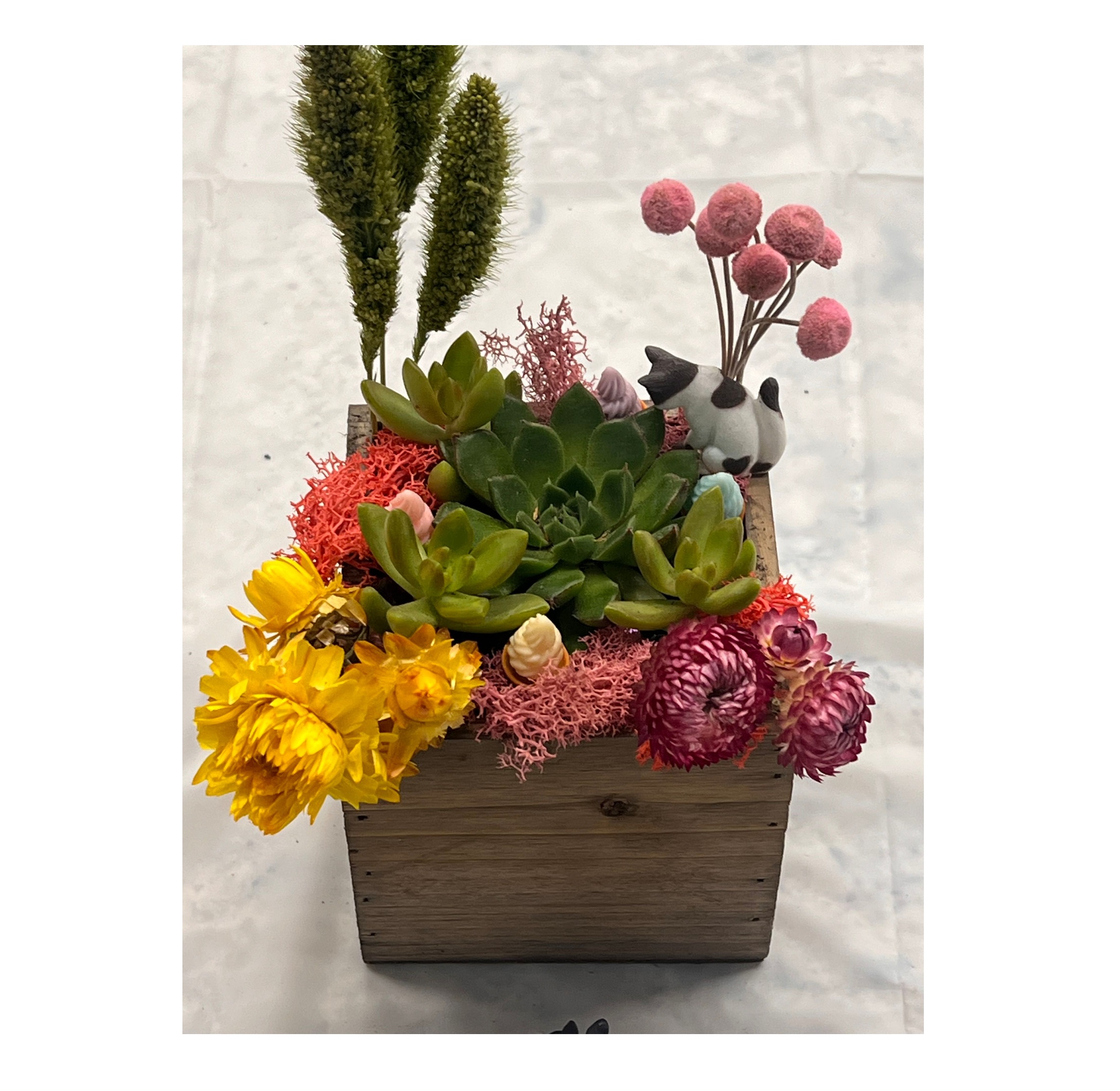 Succulent Treasure Box