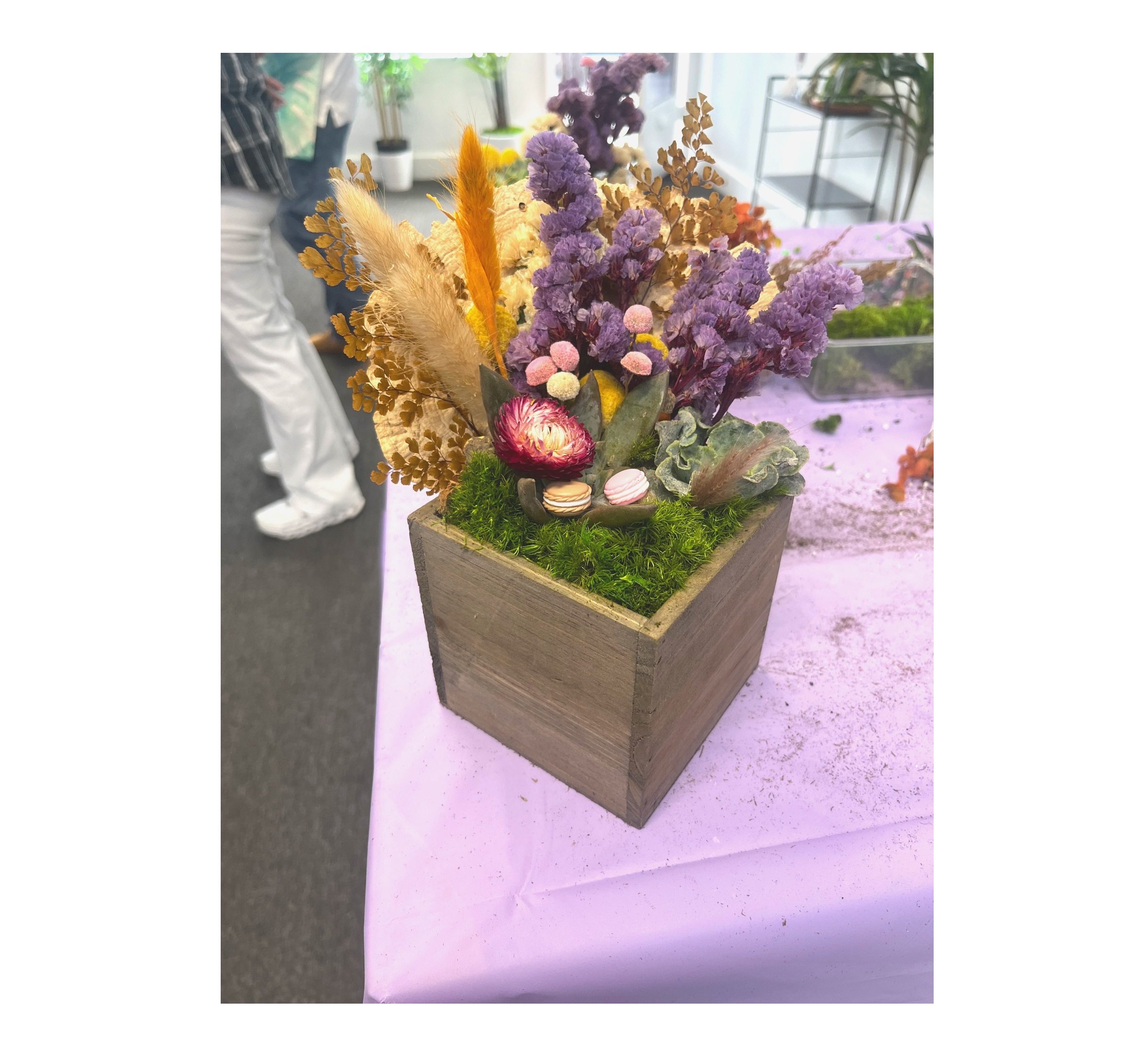 Succulent Treasure Box