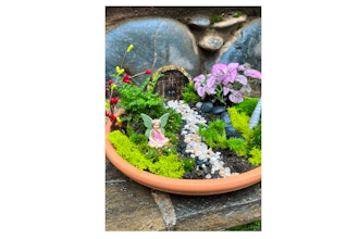 Fairy Garden Terrarium