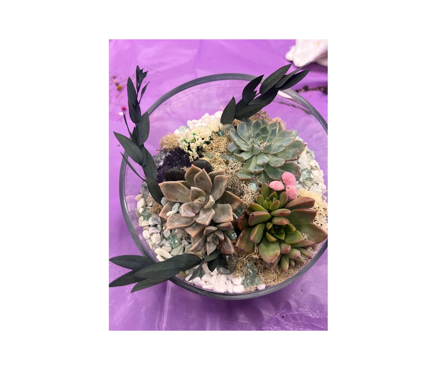 Zen Crystal and Terrarium Workshop
