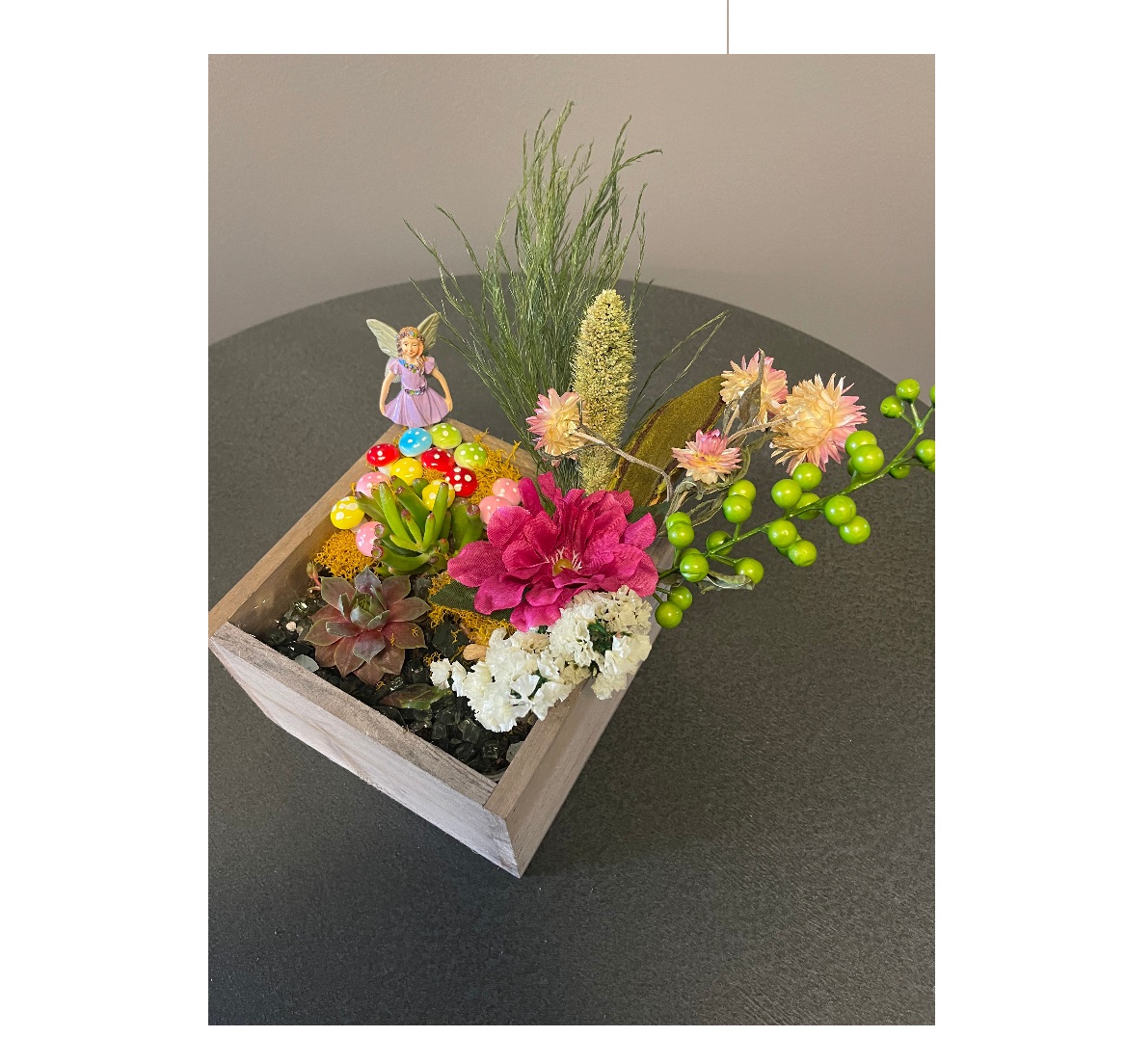 Succulent Treasure Box