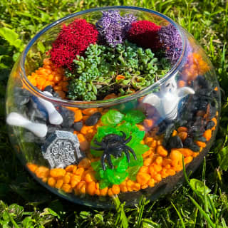 Halloween Terrarium Workshop