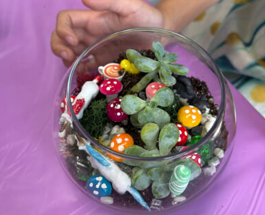 Kids Succulent Terrarium Class