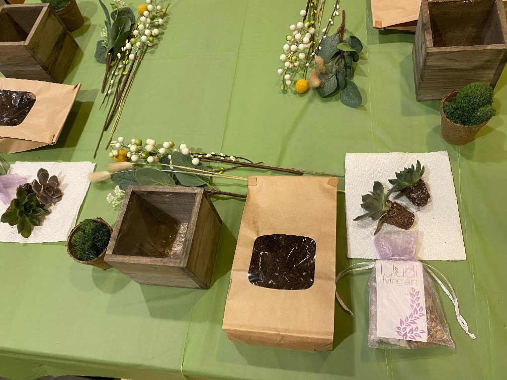 Succulent Treasure Box