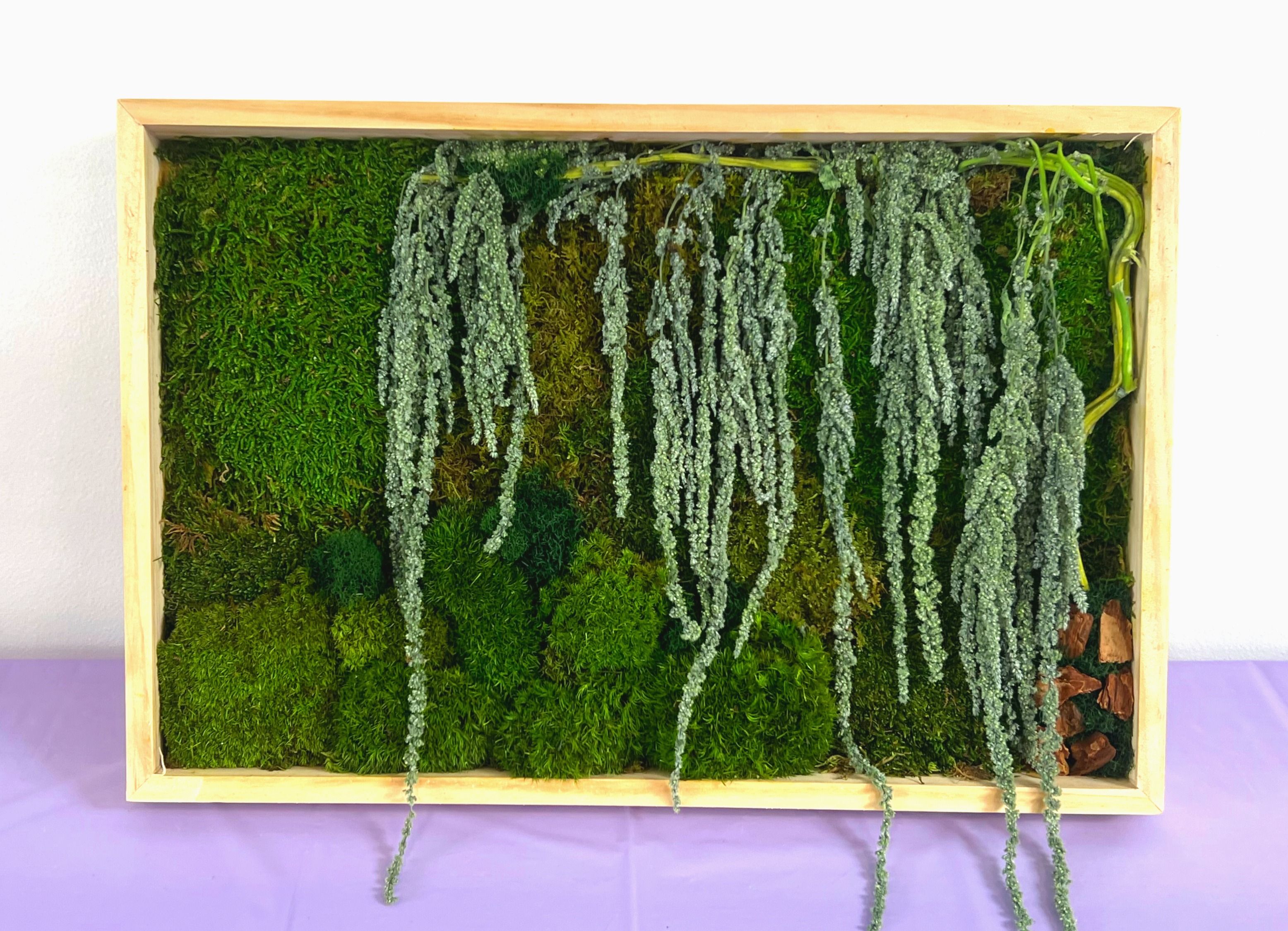 Moss Art Workshop