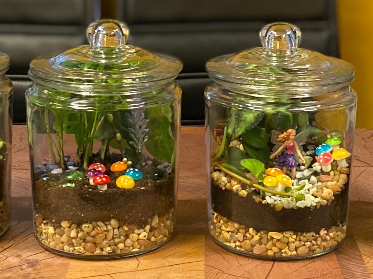 Closed Eco-System Terrarium Class