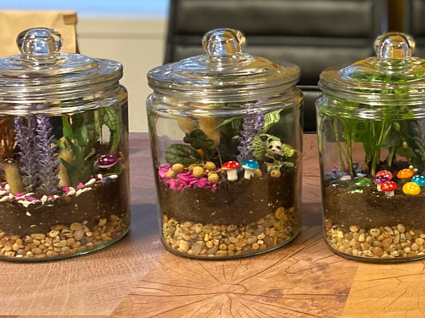 Closed Eco-System Terrarium