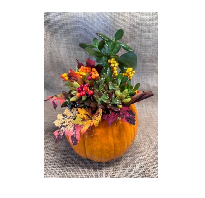 Succulent Pumpkin Fall Decor
