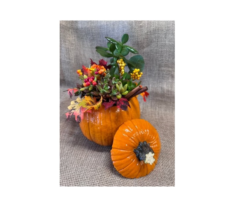 Succulent Pumpkin Fall Decor