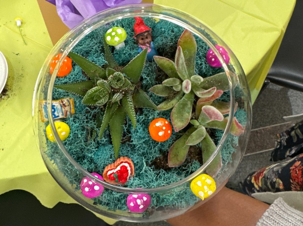 Queens, NY: Classic Terrarium Making
