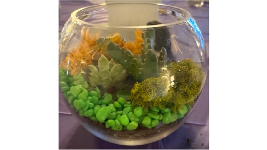 Virtual Terrarium