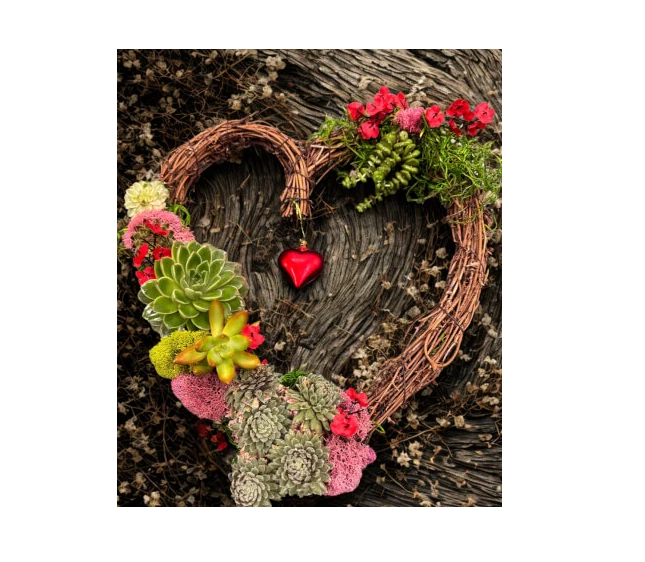 Valentine's Day Succulent Wreath Workshop